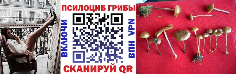 Галлюциногенные грибы Psilocybine cubensis  гидра ONION  Оханск 